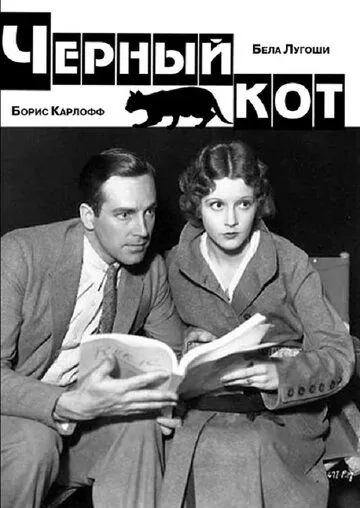 Постер: Черный кот / The Black Cat (1934)