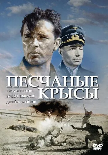 Постер: Крысы пустыни / The Desert Rats (1953)