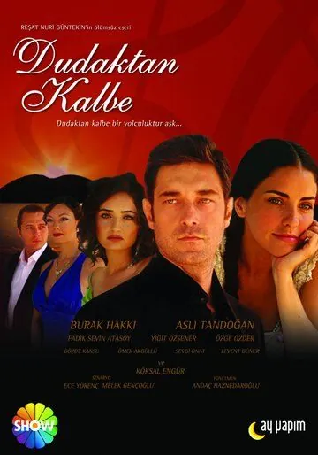 Постер: Симфония любви / Dudaktan kalbe (2007)