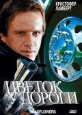 Постер: Цветок у дороги / The Road Killers (1993)