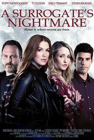 Постер: Суррогатный кошмар / A Surrogate's Nightmare (2017)