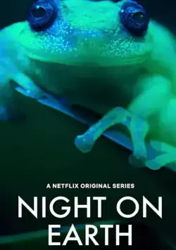Постер: Ночь на Земле / Night on Earth (2020)