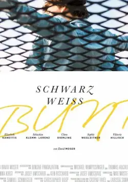 Постер: Черный Белый Разноцветный / Schwarz Weiss Bunt (2020)
