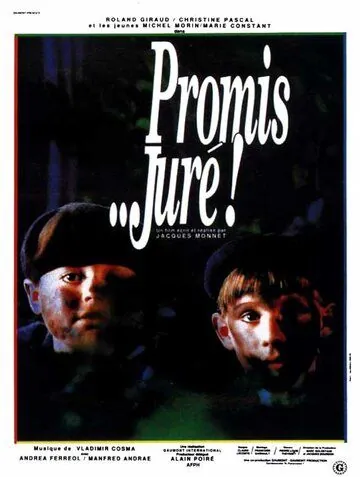 Постер: Клянусь… господин судья! / Promis... juré! (1987)