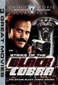 Постер: Черная кобра / Cobra nero (1987)