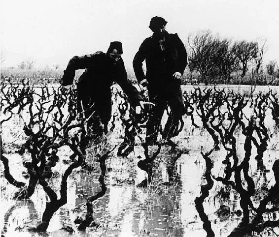 Кадр из Три (1965) Кадр 3 из фильма Три / Tri (1965)
