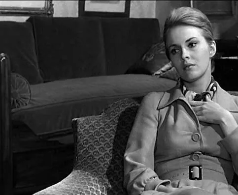 Кадр из Демаркационная линия (1966) Кадр 3 из фильма Демаркационная линия / La ligne de démarcation (1966)