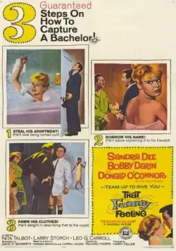 Постер: Это забавное чувство / That Funny Feeling (1965)