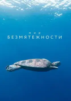 Постер: Мир безмятежности / A World of Calm (2020)