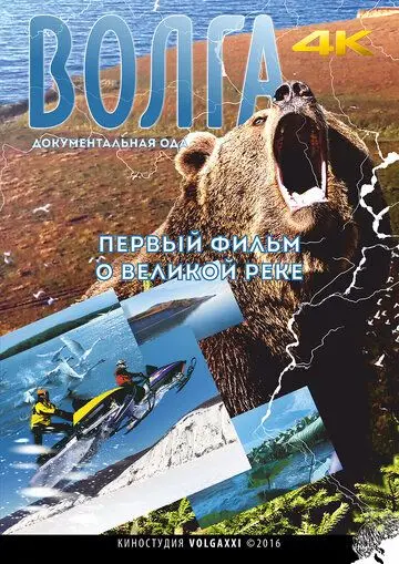 Постер: Волга (2016)