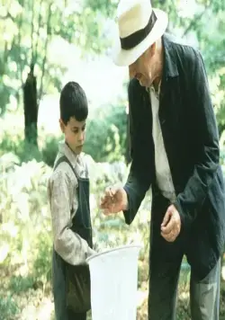 Кадр из Язык бабочек (1999) Кадр 1 из фильма Язык бабочек / La lengua de las mariposas (1999)