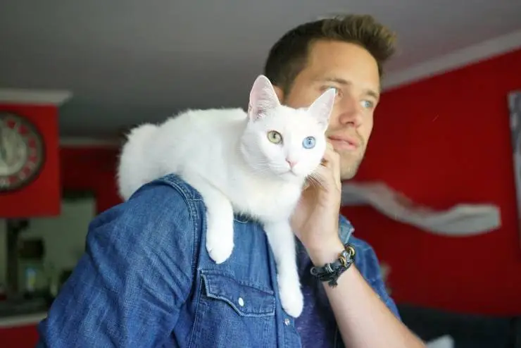 Кадр из Котики (2022) Кадр 3 из фильма Котики / Cat Daddies (2022)