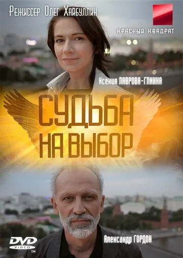 Постер: Судьба на выбор (2011)