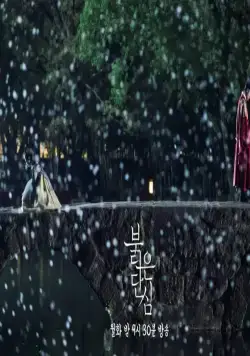 Кадр из Красное сердце (2022) Кадр 1 из сериала Красное сердце / Single Red Heart (2022)