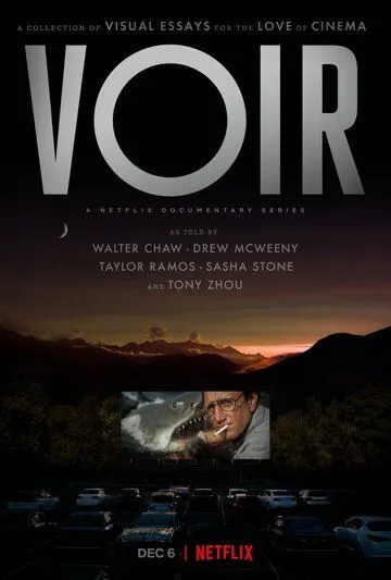Постер: Жизнь кино / Voir (2021)