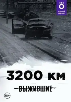 Постер: Выжившие: 3200 км (2021)