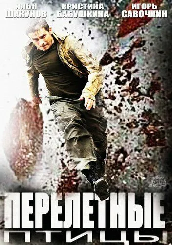 Постер: Перелётные птицы (2014)