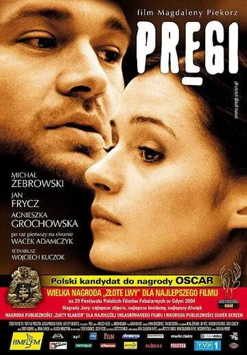 Постер: Рубцы / Pregi (2004)