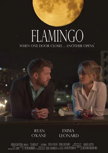 Постер: Фламинго / Flamingo (2020)