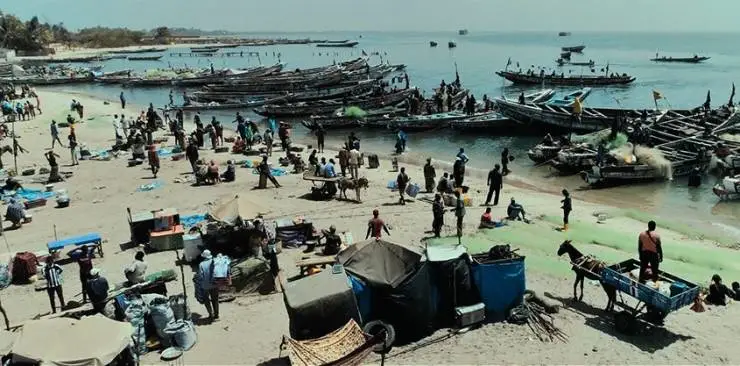 Кадр из Салум (2021) Кадр 3 из фильма Салум / Saloum (2021)