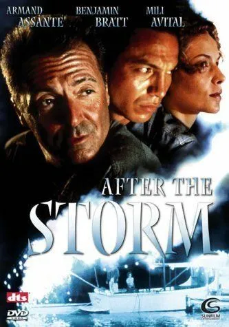 Постер: После шторма / After the Storm (2001)
