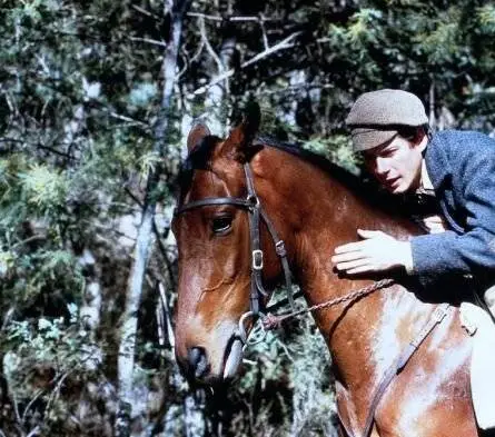 Кадр из Мельбурнский кубок (1985) Кадр 2 из фильма Мельбурнский кубок / Archer (1985)