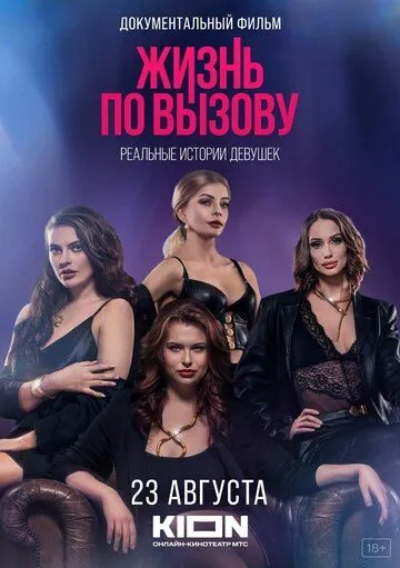 Постер: Жизнь по вызову. Док (2023)