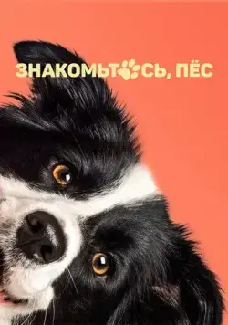 Постер: Знакомьтесь, пёс / Řekni to psem (2022)