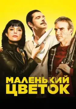 Постер: Маленький цветок / Petite fleur (2022)