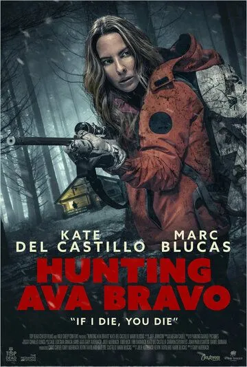 Постер: Охота на Аву Браво / Hunting Ava Bravo (2022)