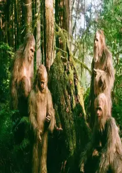 Кадр из Лохматые предки (2024) Кадр 3 из фильма Лохматые предки / Sasquatch Sunset (2024)