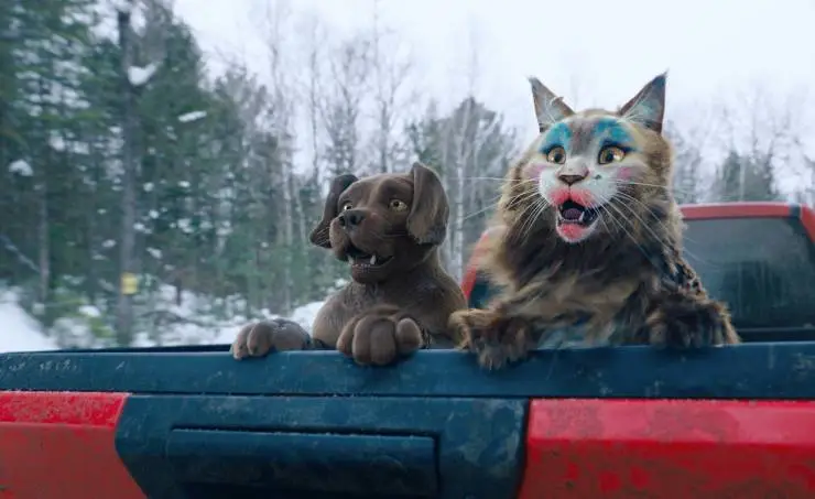 Кадр из Кот и пёс (2024) Кадр 2 из фильма Кот и пёс / Chien et chat (2024)