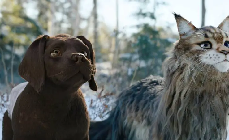 Кадр из Кот и пёс (2024) Кадр 3 из фильма Кот и пёс / Chien et chat (2024)