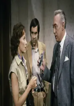 Кадр из Деррик (1974) Кадр 2 из сериала Деррик / Derrick (1974)