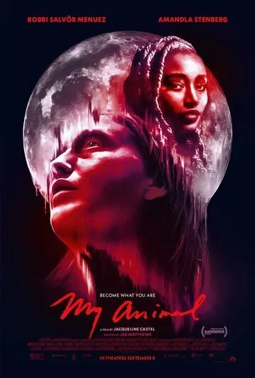 Постер: Моё животное / My Animal (2023)