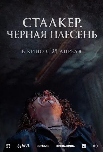 Постер: Сталкер. Черная плесень / Black Mold (2023)