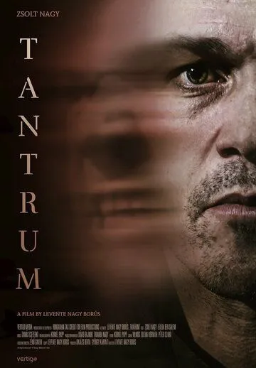 Постер: Вспышка гнева / Tantrum (2021)