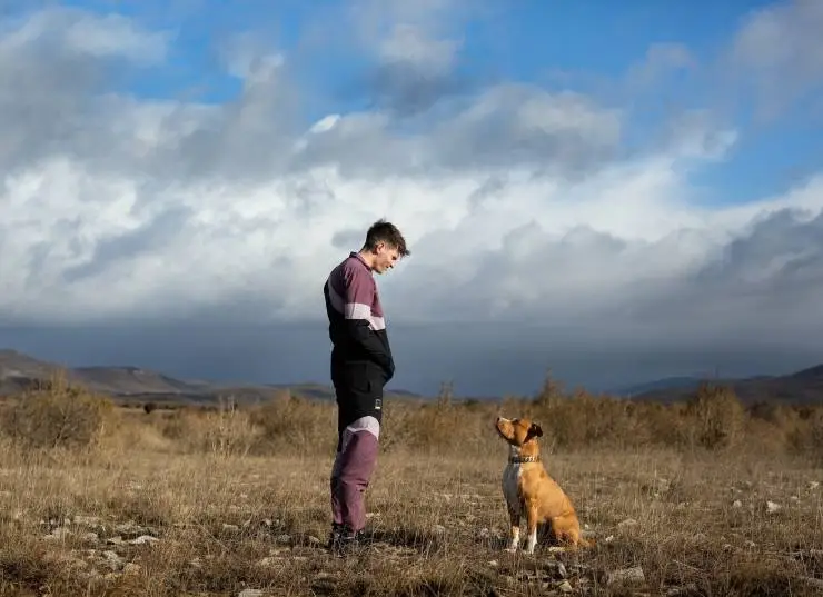 Кадр из Цепной пёс (2023) Кадр 1 из фильма Цепной пёс / Chien de la casse (2023)