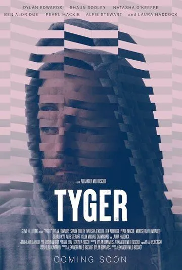 Постер: Тигр / Tyger (2024)