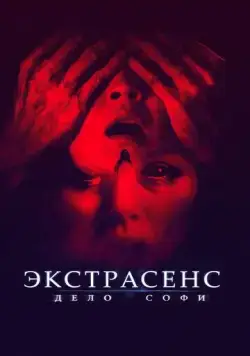 Постер: Экстрасенс. Дело Софи / They Live in the Grey (2021)