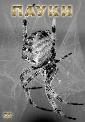 Постер: Пауки / Spiders (2000)