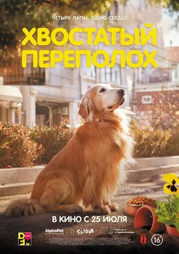 Постер: Хвостатый переполох / Dogeu deijeu (2024)