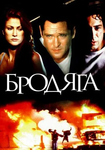 Постер: Бродяга / The Stray (2000)