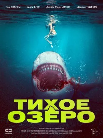 Постер: Акула бык / Blood in the Water (2022)