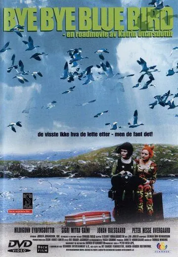Постер: Пока-пока, синяя пташка / Bye Bye Blue Bird (1999)