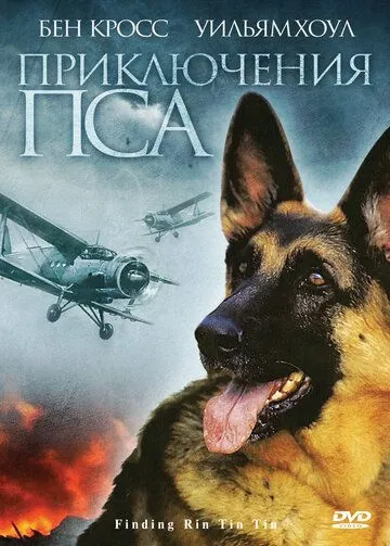 Постер: Приключения пса / Finding Rin Tin Tin (2007)