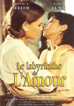 Постер: Лабиринт любви / Il labirinto dei sensi (1994)