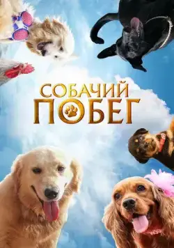 Постер: Собачий побег / Valatty (2023)