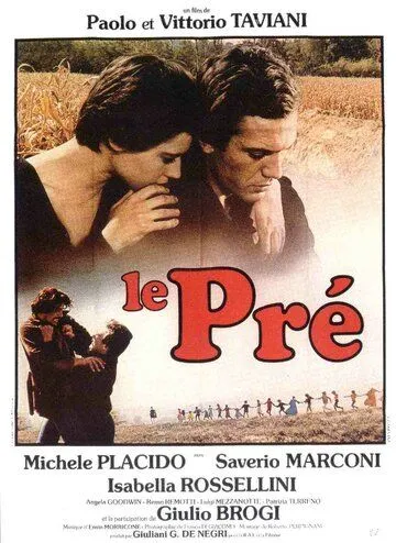 Постер: Поляна / Il prato (1979)