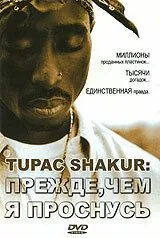 Постер: Tupac Shakur: Прежде, чем я проснусь / Tupac Shakur: Before I Wake... (2001)